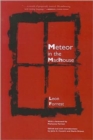 Image for Meteor In The Madhouse