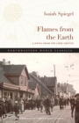 Image for Flames from the Earth  : a novel from the Lâodz ghetto