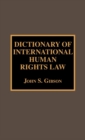 Image for Dictionary of International Human Rights Law