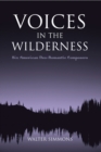 Image for Voices in the Wilderness : Six American Neo-Romantic Composers