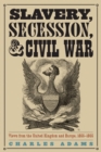 Image for Slavery, Secession, and Civil War