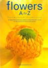 Image for Flowers A to Z  : buying, growing, cutting, arranging