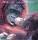 Image for Orangutan Odyssey