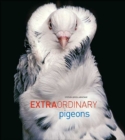 Image for Extraordinary Pigeons