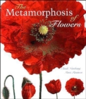 Image for The Metamorphosis of Flowers