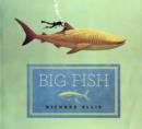 Image for Big Fish