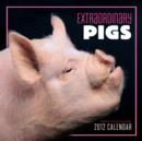 Image for Extraordinary Pigs 2012 Wall Calendar