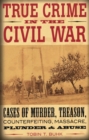 Image for True crime in the Civil War  : cases of murder, treason, counterfeiting, massacre, plunder, and abuse
