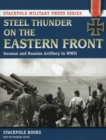 Image for Steel Thunder on the Eastern Front