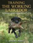 Image for Training the Working Labrador