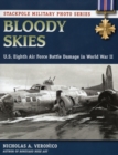 Image for Bloody Skies