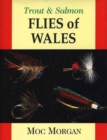 Image for Trout and Salmon Flies of Wale