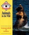 Image for How to Photograph Animals in the Wild