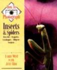 Image for How to Photograph Insects and Spiders
