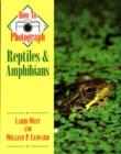 Image for How to Photograph Reptiles and Amphibians