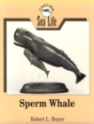 Image for Carving Sea Life : Sperm Whale