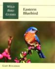 Image for Eastern Bluebird