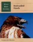 Image for Red-Tailed Hawk