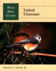 Image for Tufted Titmouse