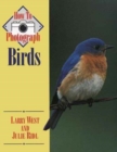 Image for How to Photograph Birds