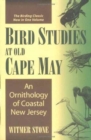 Image for Bird Studies at Old Cape May