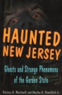 Image for Haunted New Jersey