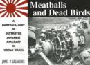 Image for Meatballs and Dead Birds