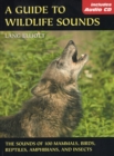 Image for Guide to Wildlife Sounds : The Sounds of 100 Mammals, Birds, Reptiles, Amphibians and Insects