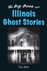 Image for The big book of Illinois ghost stories