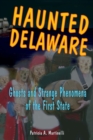Image for Haunted Delaware: ghosts and strange phenomena of the First State