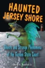 Image for Haunted Jersey shore: ghosts and strange phenomena of the Garden State coast