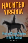 Image for Haunted Virginia: ghosts and strange phenomena of the Old Dominion