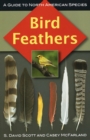 Image for Bird feathers: a guide to North American species