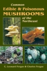 Image for Common edible and poisonous mushrooms of the northeast
