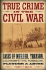 Image for True crime in the Civil War: cases of murder, treason, counterfeiting, massacre, plunder, and abuse