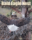 Image for Bald eagle nest