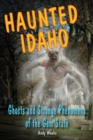 Image for Haunted Idaho: Ghosts and Strange Phenomena of the Gem State