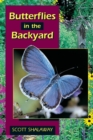 Image for Butterflies in the backyard