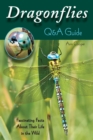 Image for Dragonflies Q&amp;A guide: fascinating facts about their life in the wild