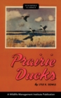 Image for Prairie Ducks