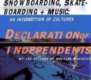 Image for Declaration of independents  : skateboarding, snowboarding + music