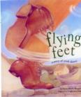 Image for Flying feet  : a story of Irish dance