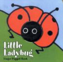 Image for Little Ladybug  : finger puppet book