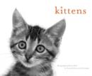 Image for Kittens Notecards