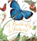 Image for A butterfly is patient