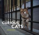 Image for Curious cats