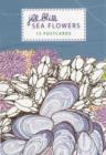 Image for Sea Flowers: 15 Postcards