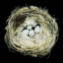 Image for Nests
