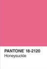 Image for Pantone Color of the Year Journal