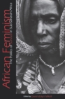 Image for African feminism: the politics of survival in sub-Saharan Africa